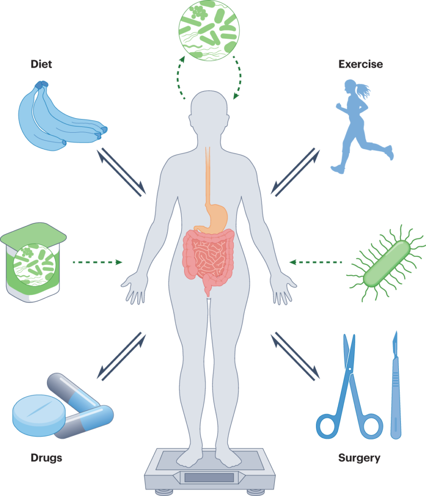 gut health microbiome bacteria digestion weight loss