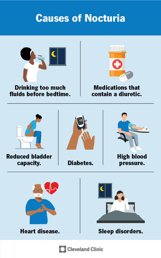 prostavive review 2026 causes of nocturia frequent urination at night prostate health infographic